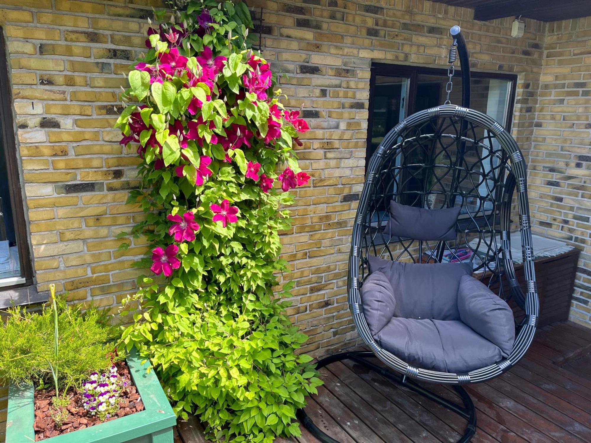 The Dream Villa เวิดบี ภายนอก รูปภาพ